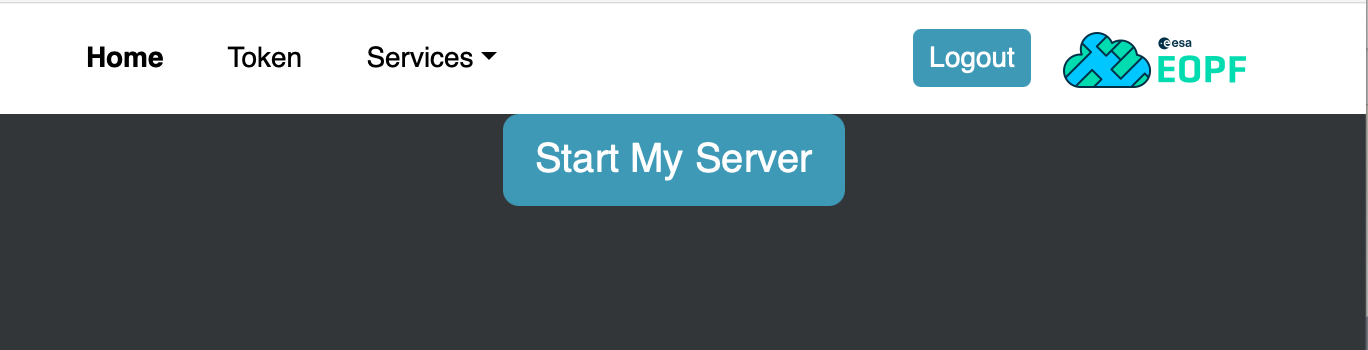Screenshot: Start Server